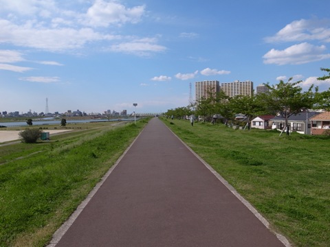 江戸川自転車道路.jpg
